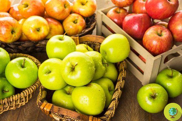 Si además pelas manzanas, peras y otras frutas, te estás equivocando según la nutricionista