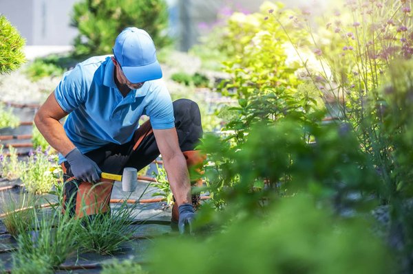 Home Decor Trends for Navigating Uncertain Times