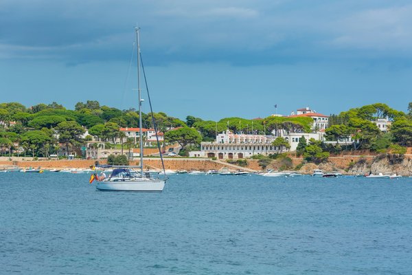 Pet Health Tips You Need to Know About